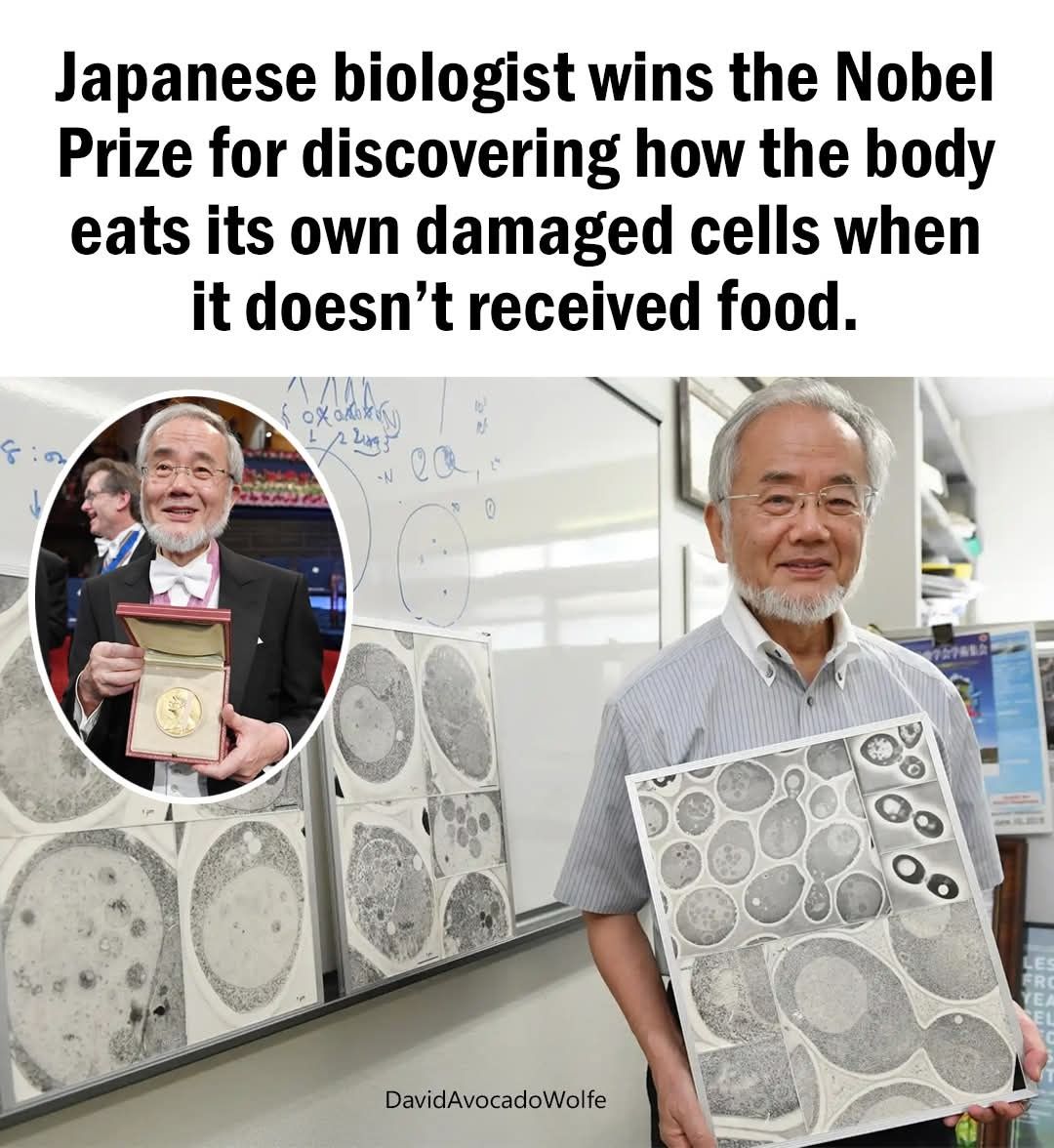 thehealthb0t's tweet image. 