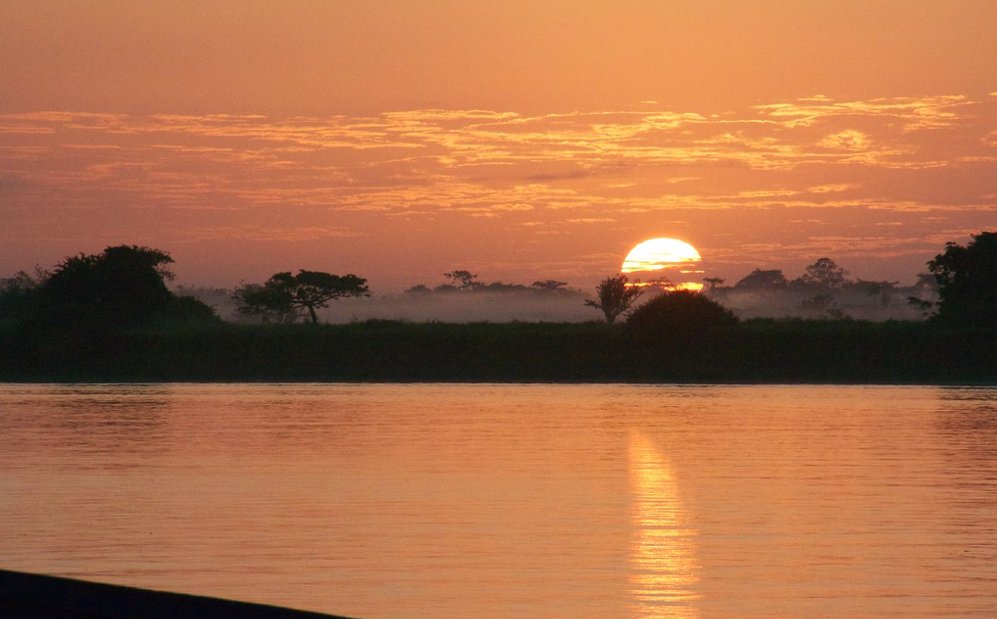 Your soul needs Delta Amacuro, not Dubai 🇻🇪