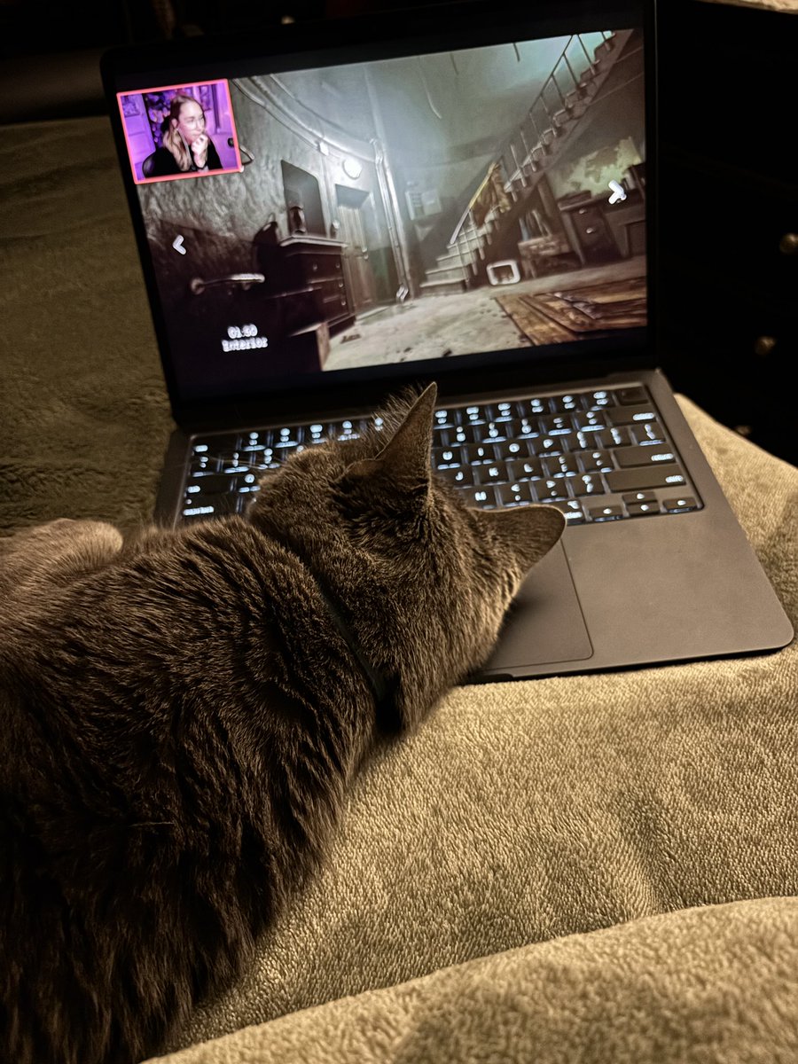 Brittany Collins tweet media