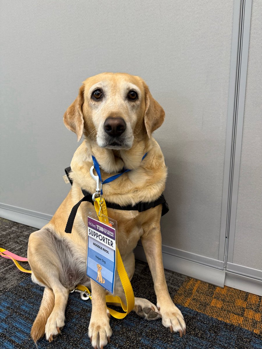 Noodle the Pup tweet media