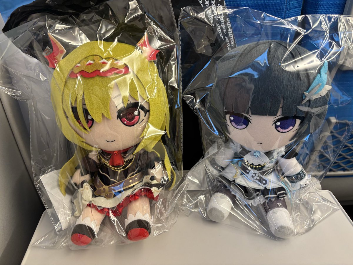 元日が偶々仕事が休みだったので、初詣ついでに秋葉原行ったら、ちとせと千夜のぬいぐるみが売ってたので無事に確保しました。
これは新年早々に幸先が良い。