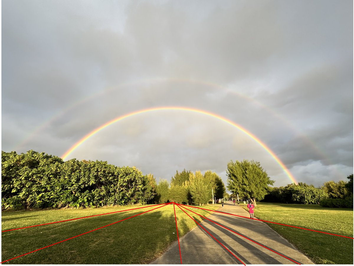前野［いろもの物理学者］昌弘 tweet media