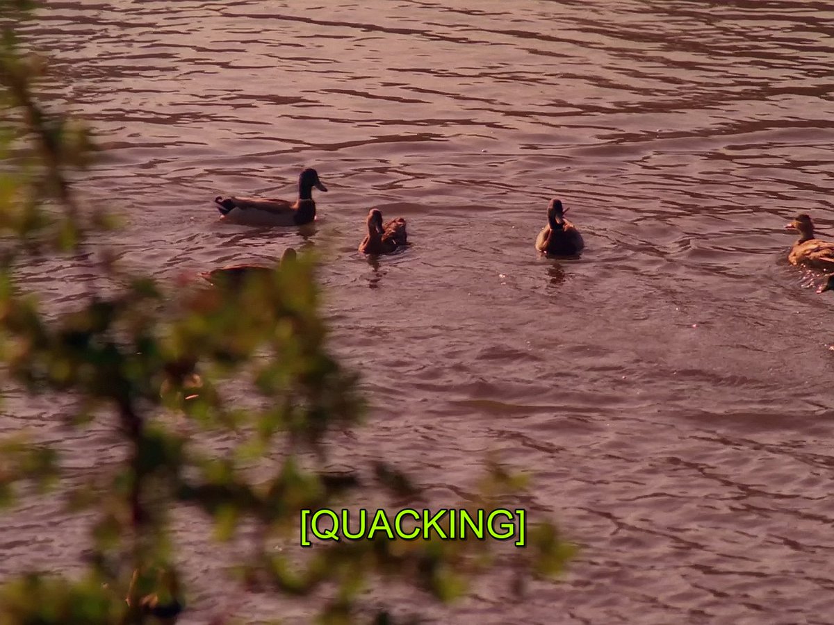 Black Lodge Cult (@blacklcult) on Twitter photo 