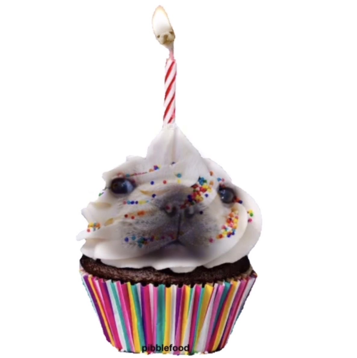 I hope everyone had amazing holidays 🐾