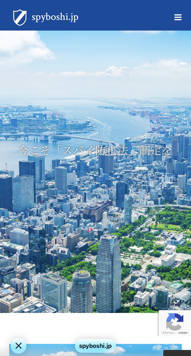 mariyatomoko's tweet image. 怖しい事です。

「スパイ防止法」制定促進サイト
「spyboshi.jp」
は統一教会系のドメイン。

 #スパイ防止法に反対します

写真は、統一教会系のドメインで作られたサイトのトップページ