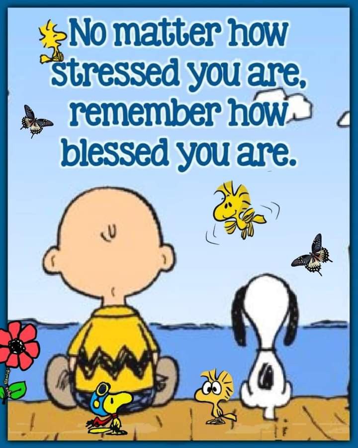 snoopy_vibes's tweet image. 