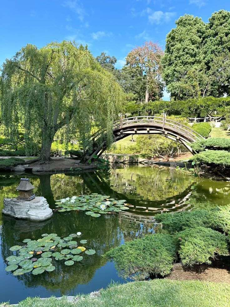 greenvibe's tweet image. 