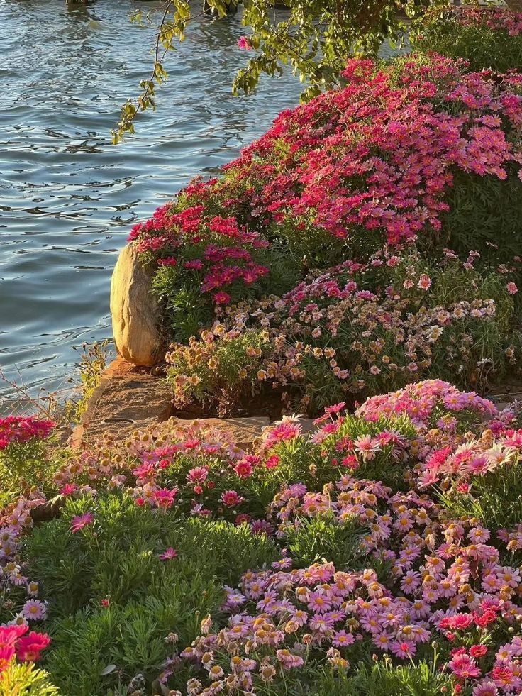 greenvibe's tweet image. 