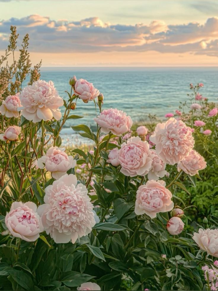 greenvibe's tweet image. 