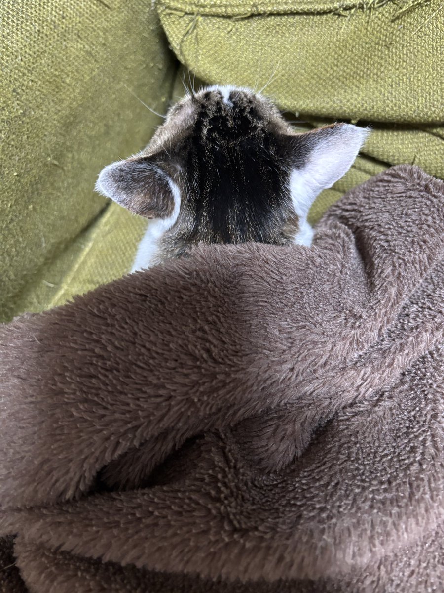 フウカ (@OZ6EpYQlciPRCpO) / Posts / X