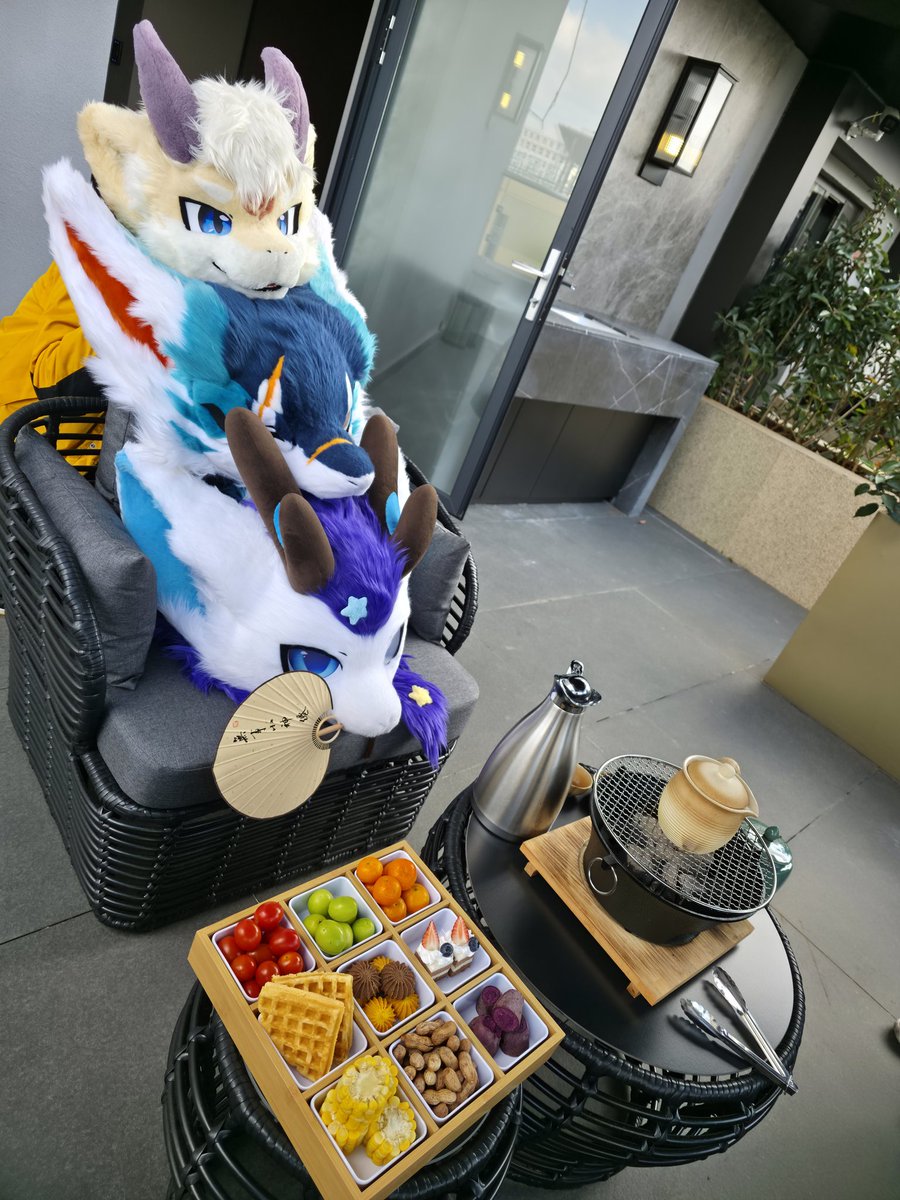 罗夏_xia tweet media