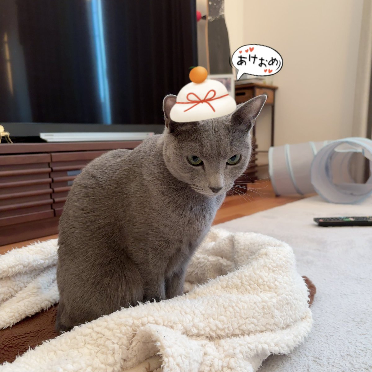 ふじこさん tweet media