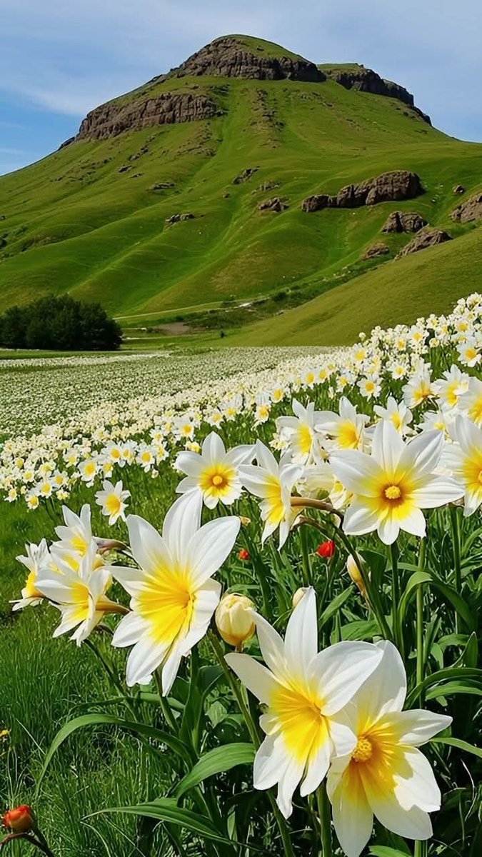 greenvibe's tweet image. 