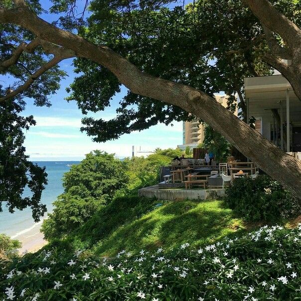 greenvibe's tweet image. 