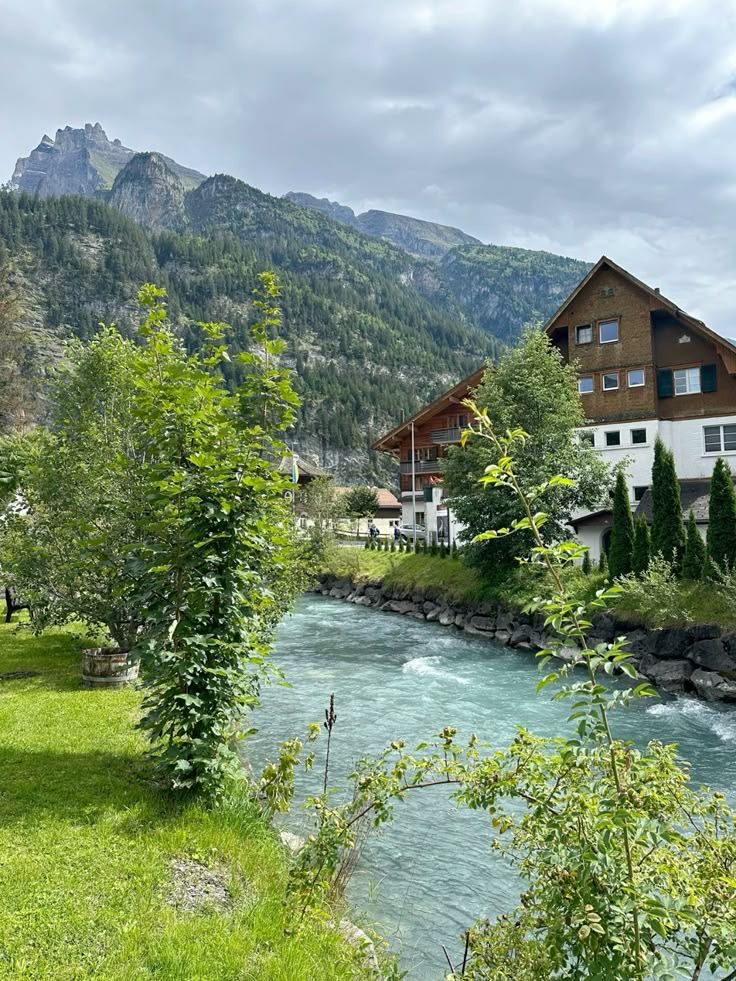 greenvibe's tweet image. 