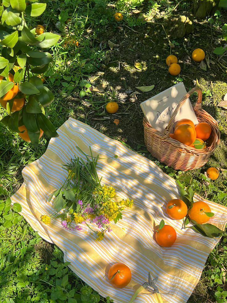 greenvibe's tweet image. 