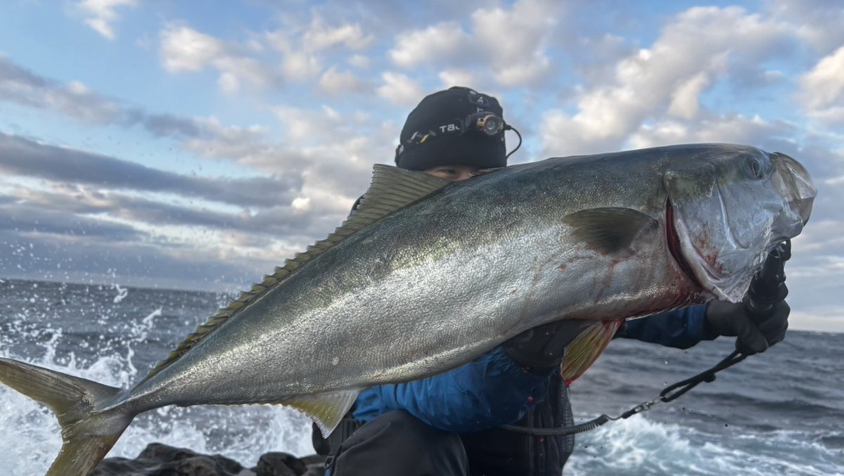 皆さん明けましておめでとうございます！
年明け初釣行でええサイズのブリ釣れました！
最高のスタート切れたんで今年も頑張っていきます👍

ブリ
91cm
6.8kg