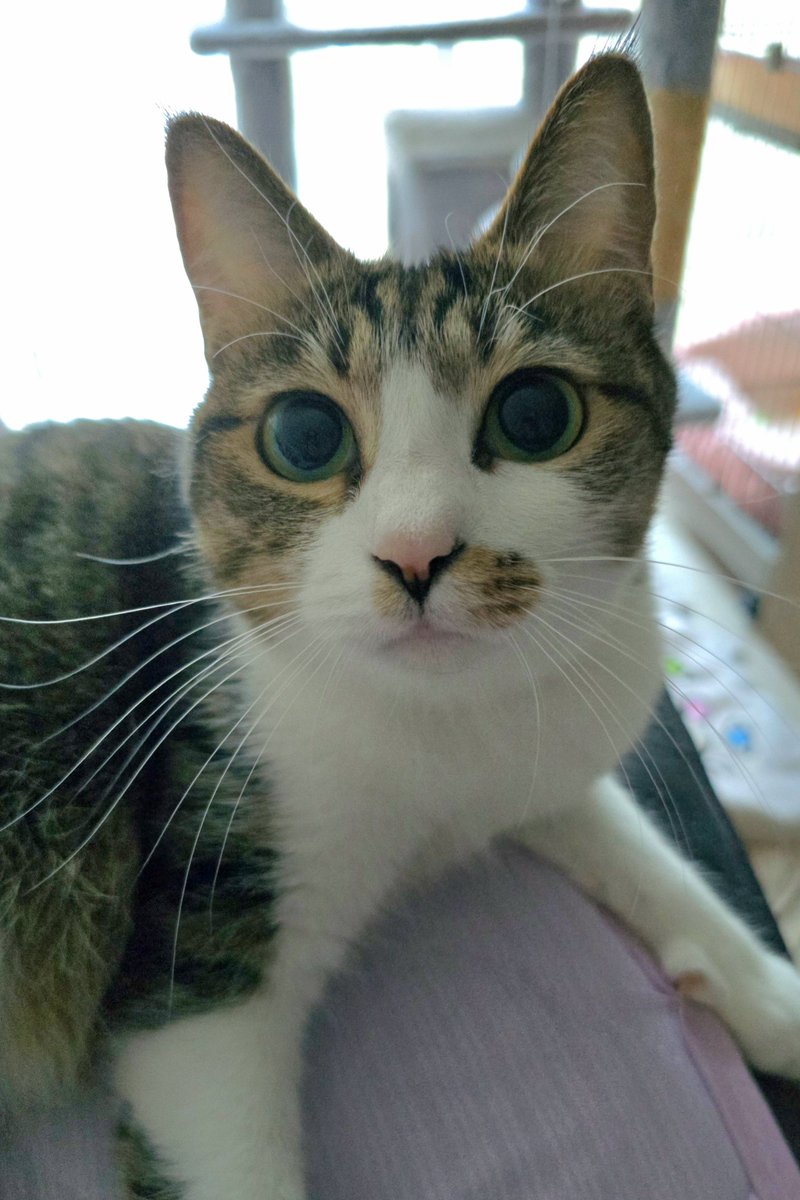 まりもちゃん！と🧌 (@marimo2021915) / Posts / X