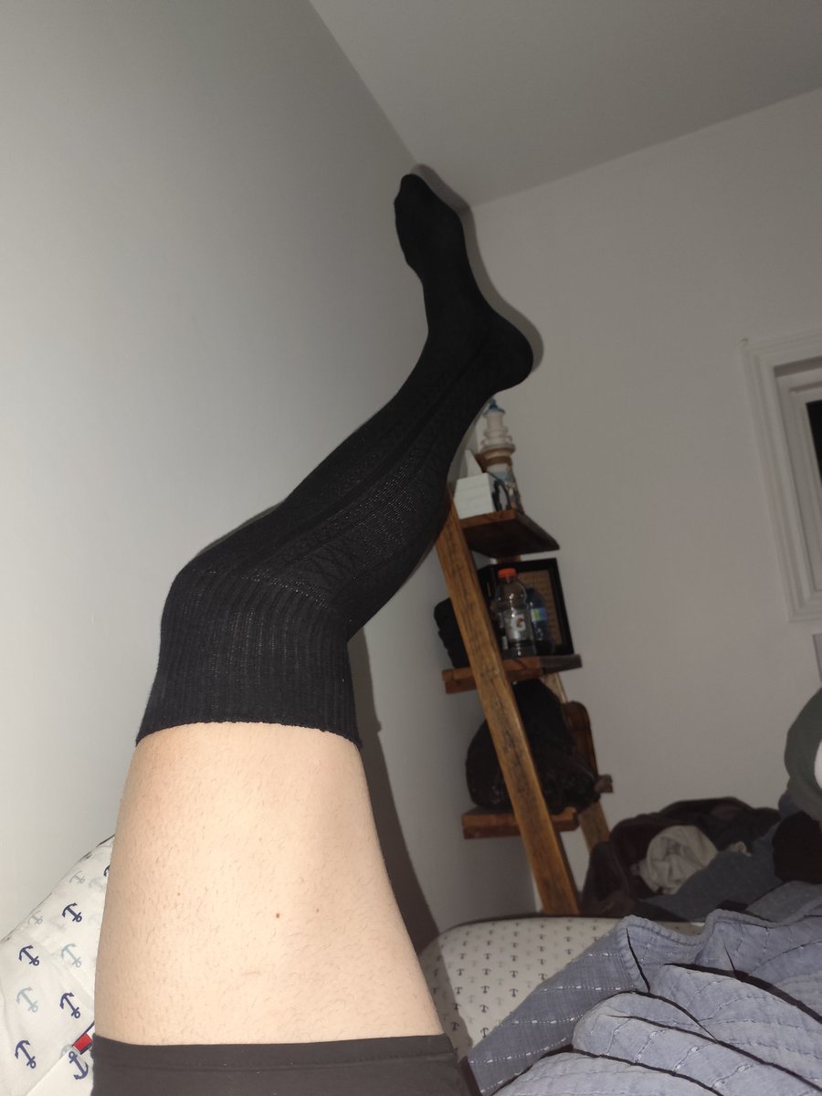 DocileWolf tweet media