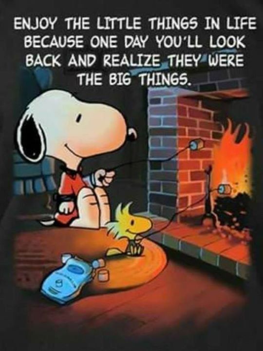 Meow & Magic (@mmeow_magic) on Twitter photo 