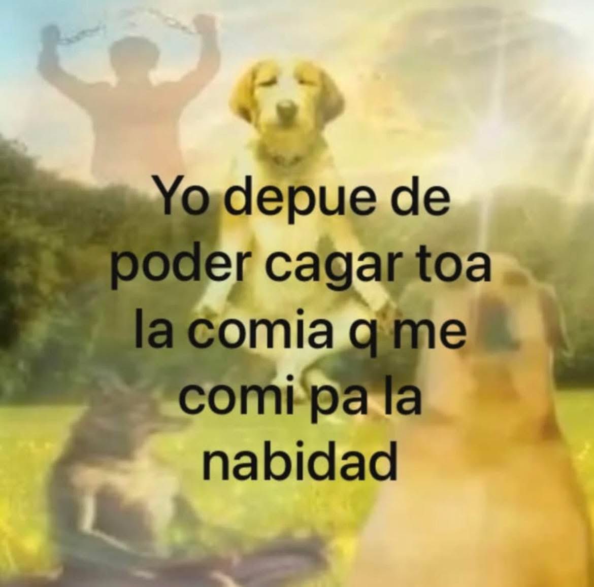 memes feos yo qué sé (@memefeos) on Twitter photo 