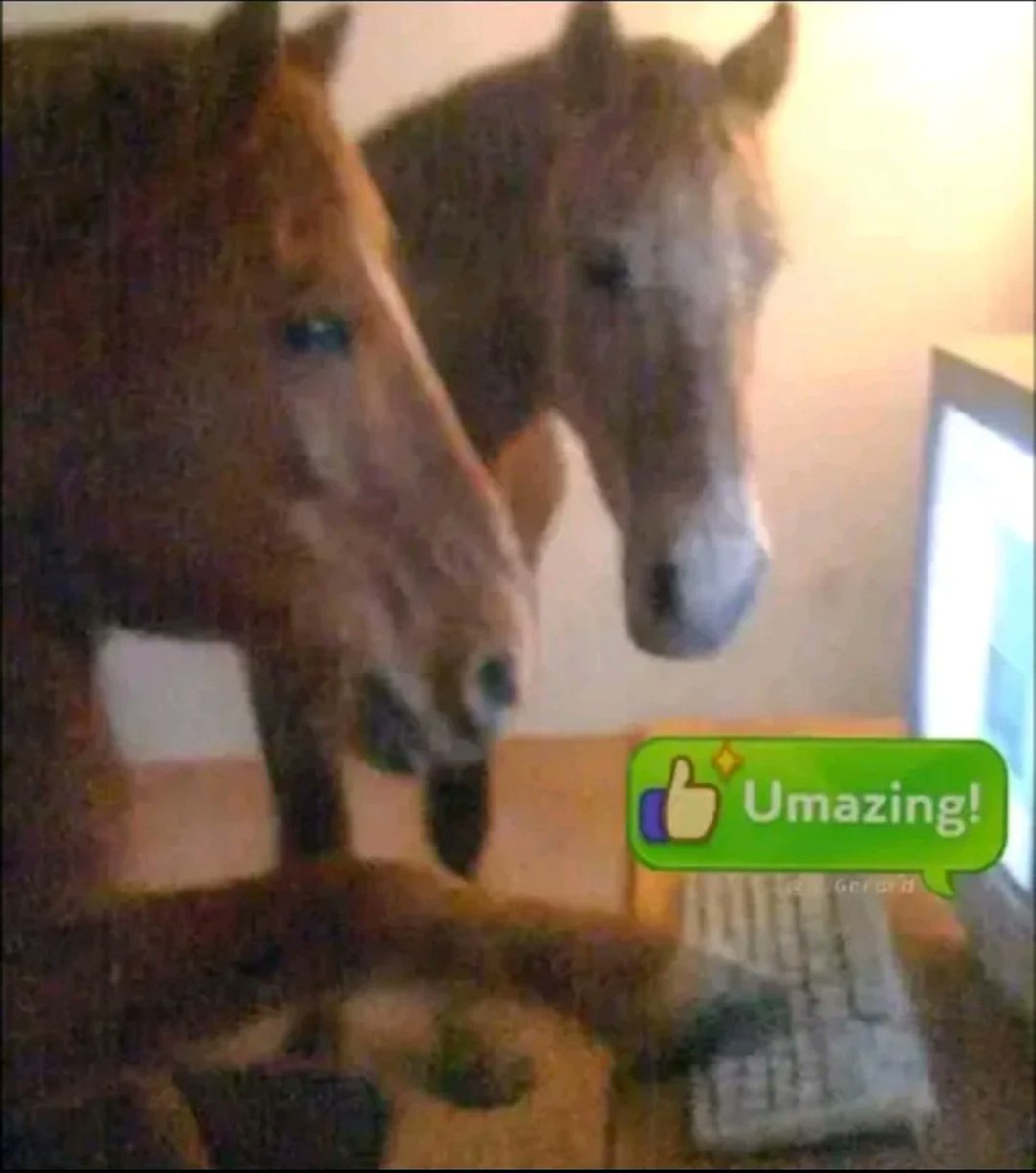 horse (archived) (@rllyhungryhorse) on Twitter photo 
