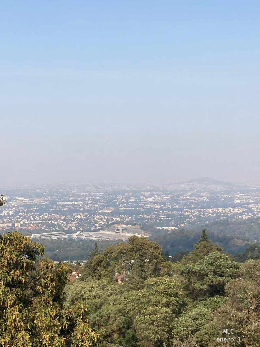 MarthaLuz tweet media