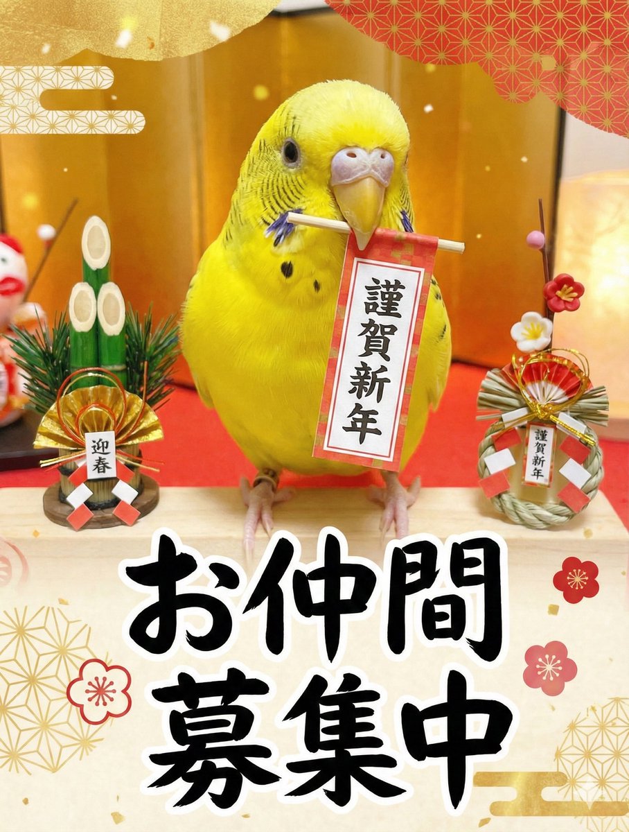 あずき (@azukiao3456) / Posts / X