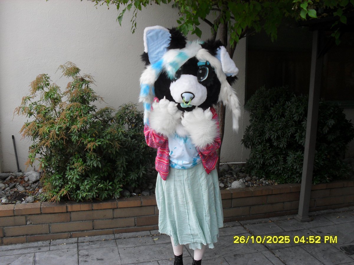 popipawws's tweet image. Some photos I never posted from #howl2025 #howloween !🎃 I 🩷 my friends :3