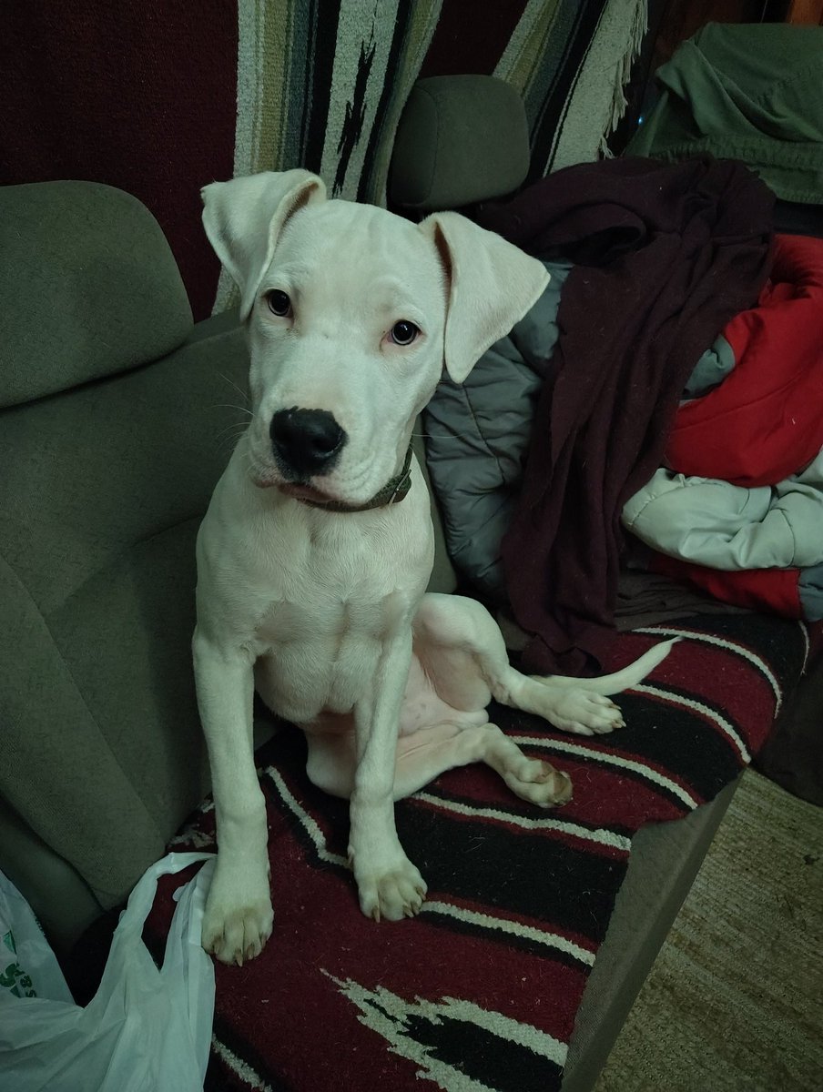 🌿🦋🍂Frog 🍄🪲🪶 tweet media