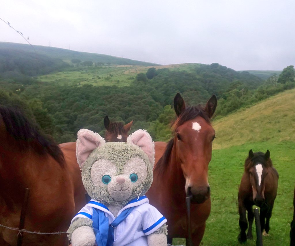 くまたろう 今年は🐴年か。 🙀💥🐎