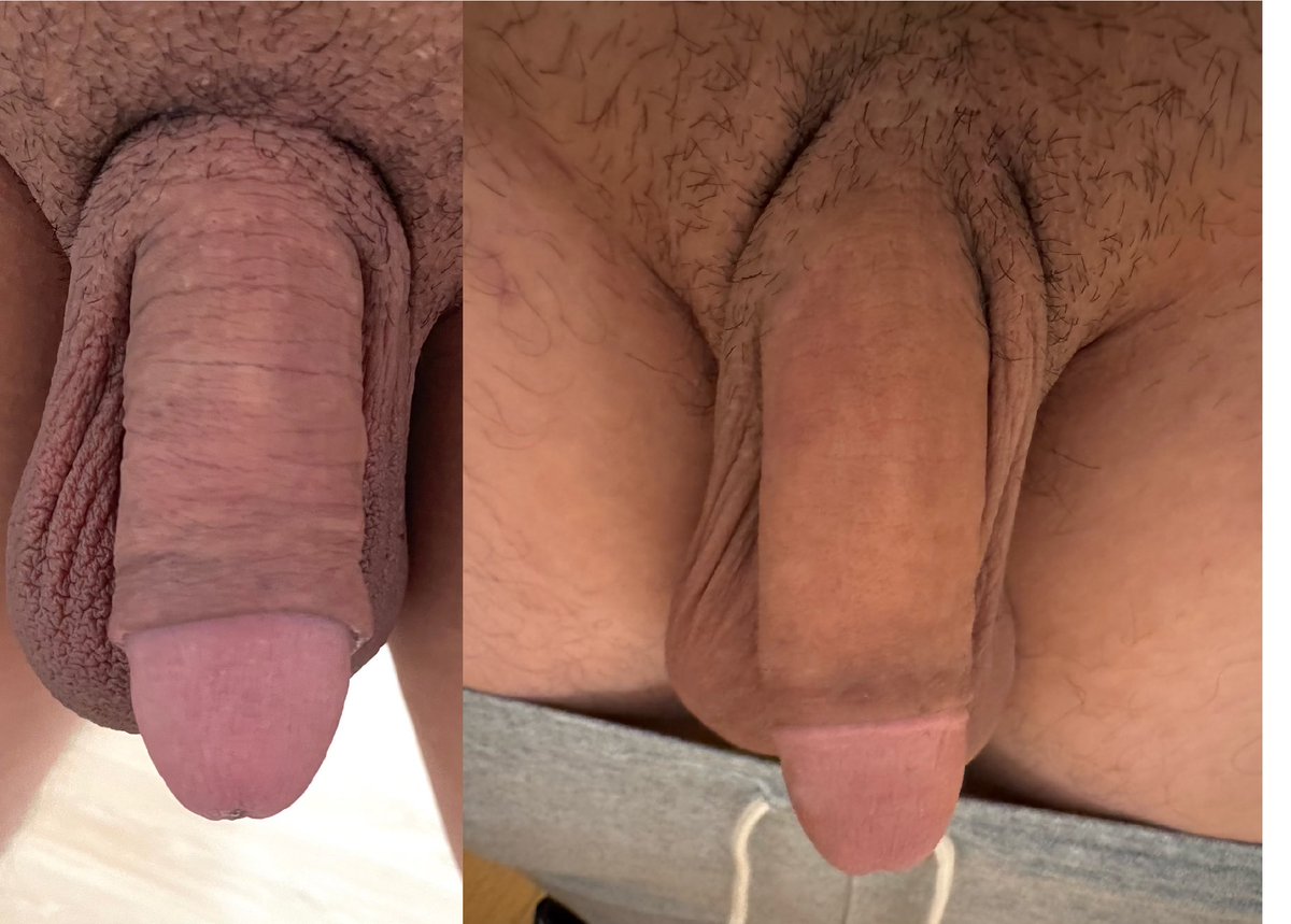 十九二 tweet media