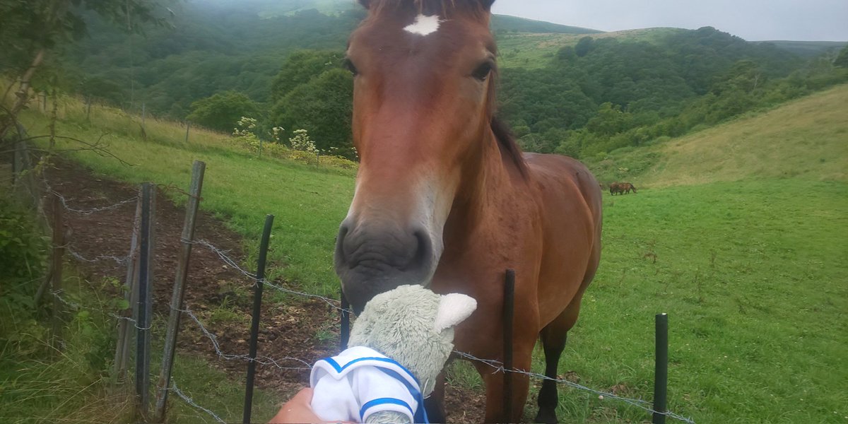 今年は🐴年か。 🙀💥🐎