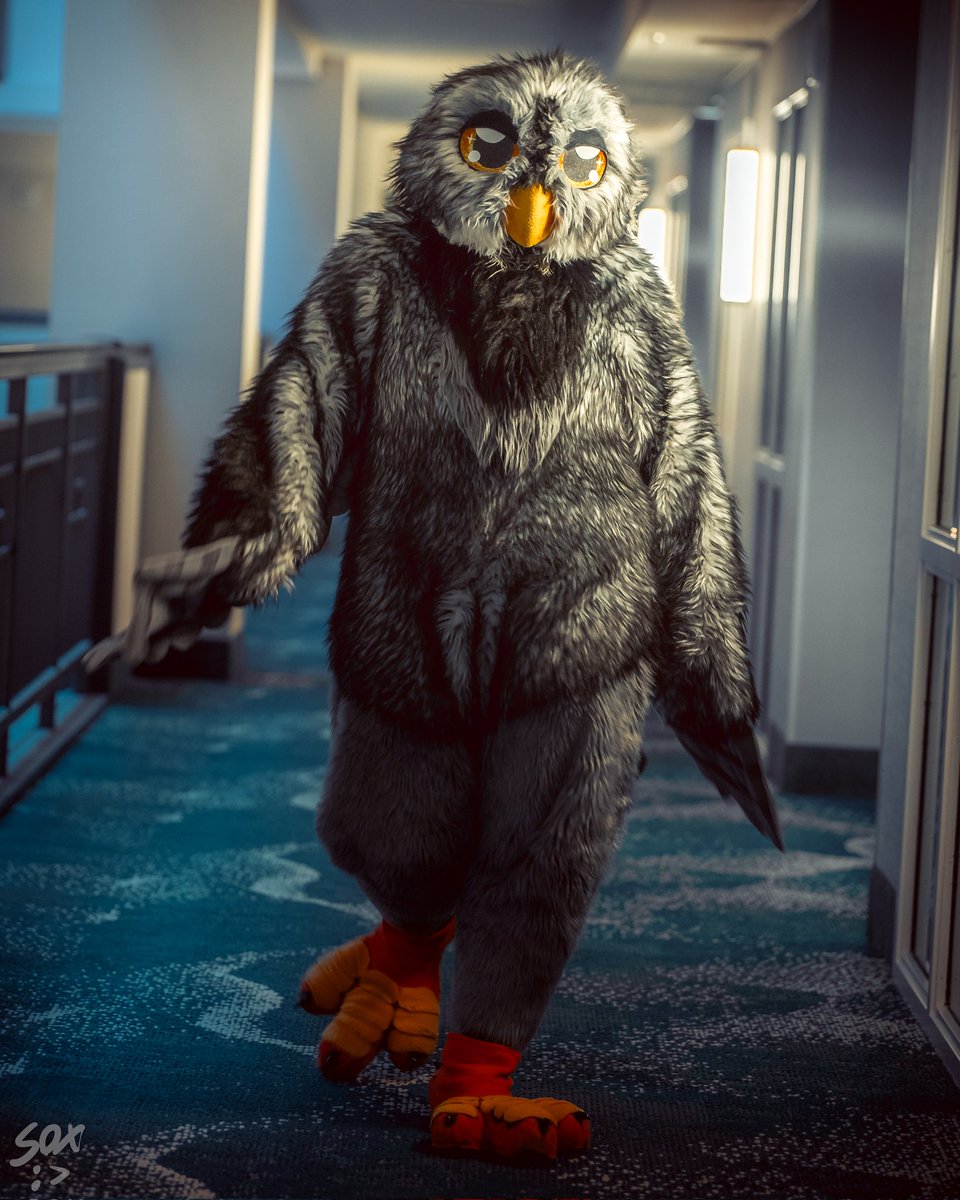 How I feel walking into 2026

📸 <a href="/SilySox/">Sox</a>