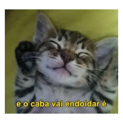 Duuhhduuu ☝️ (@duuhhduuu) on Twitter photo 
