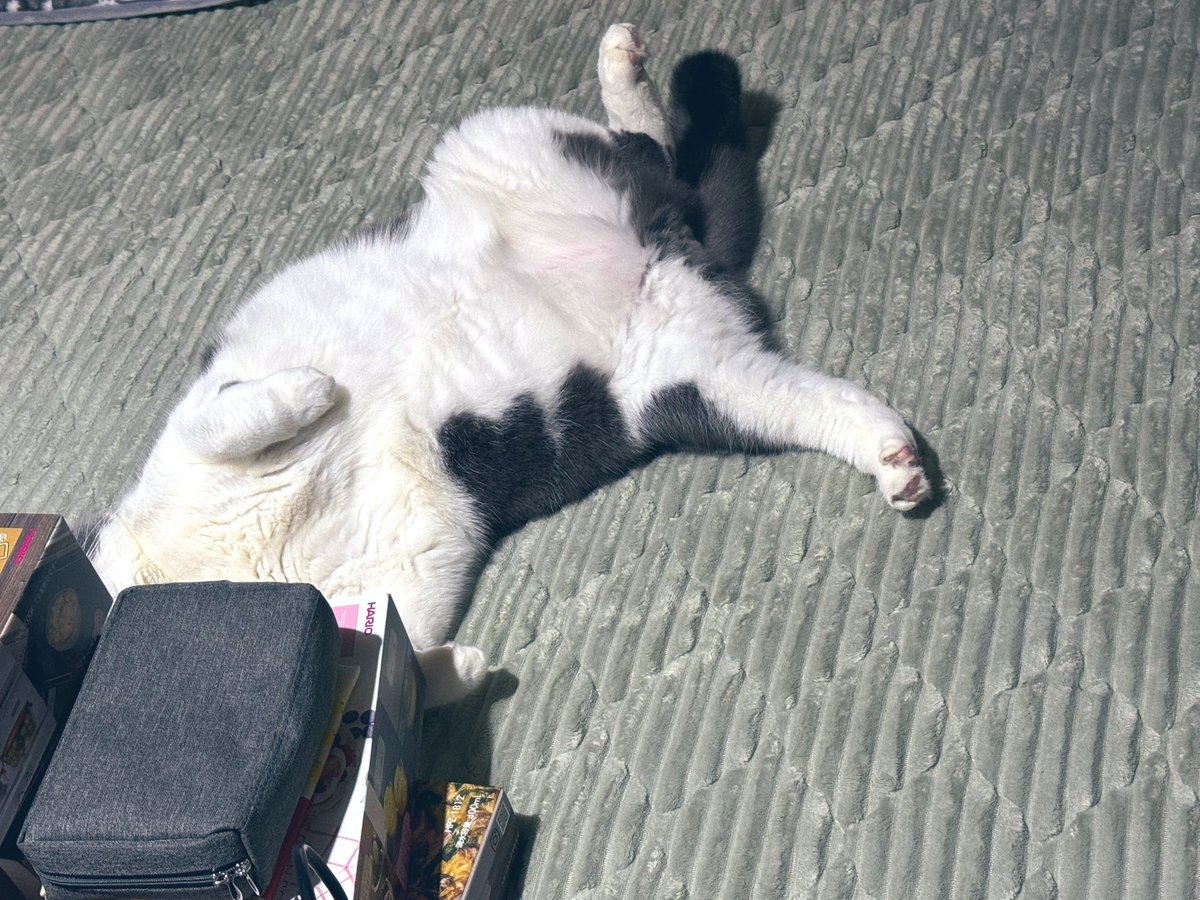 あれはなんだ？😂 （しらべたら、暑いということ だったのでまどを