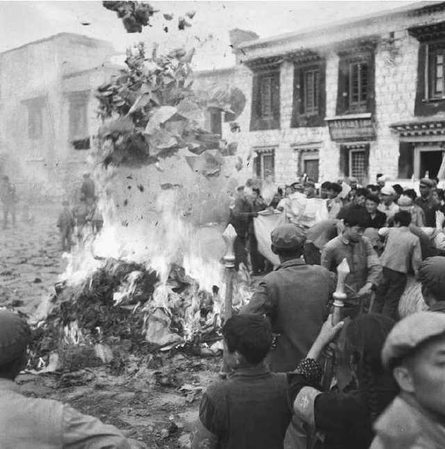 conspiracylives's tweet image. The warmth of collectivism…