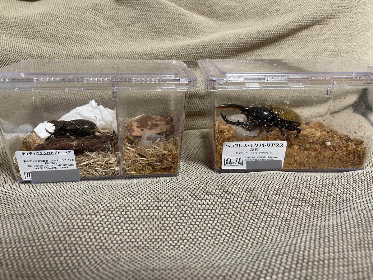 インセクトジョーカーさんの初売りへ
違うベクトルの大当たりが出て困惑中であります