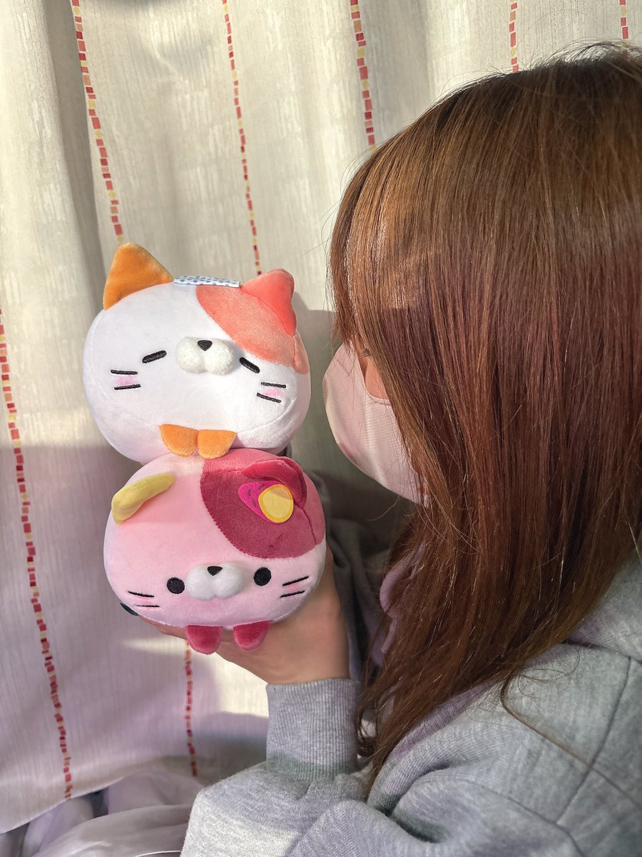 嫁ちゃんは新潟への道中で もちふわ！ころころにゃんこシリーズをお