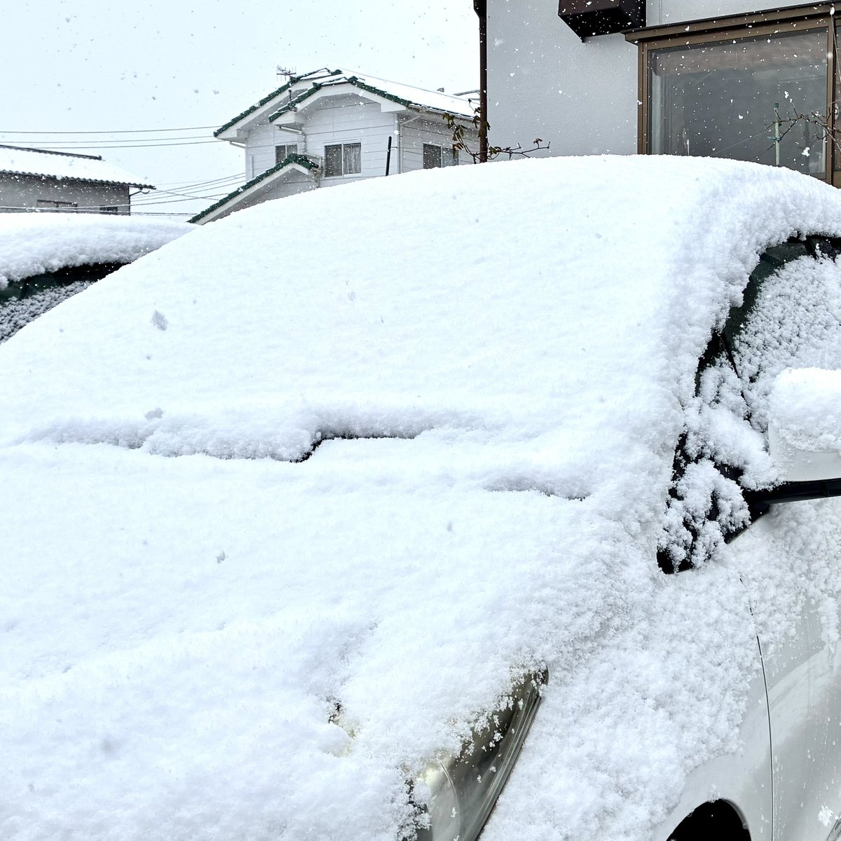 明けましておめでとう御座います
本年も宜しくお願いいたします
雪の田川より