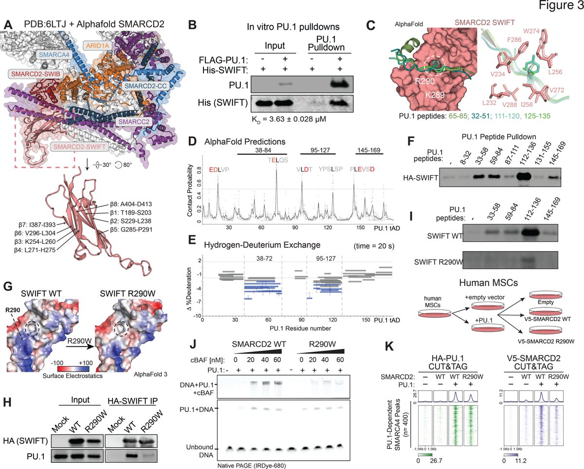 Waggoner Lab tweet media