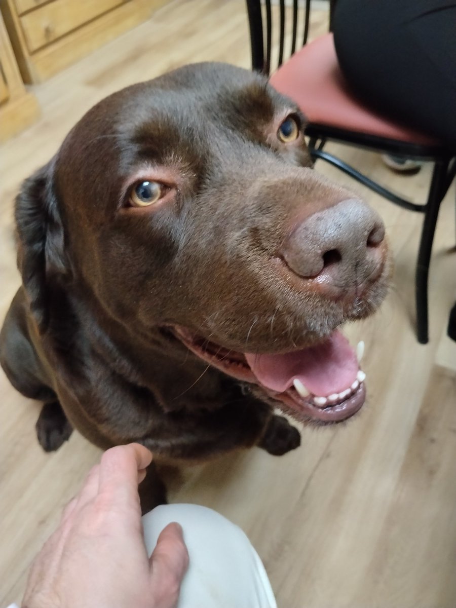 Hola, Feliz Año y eso.