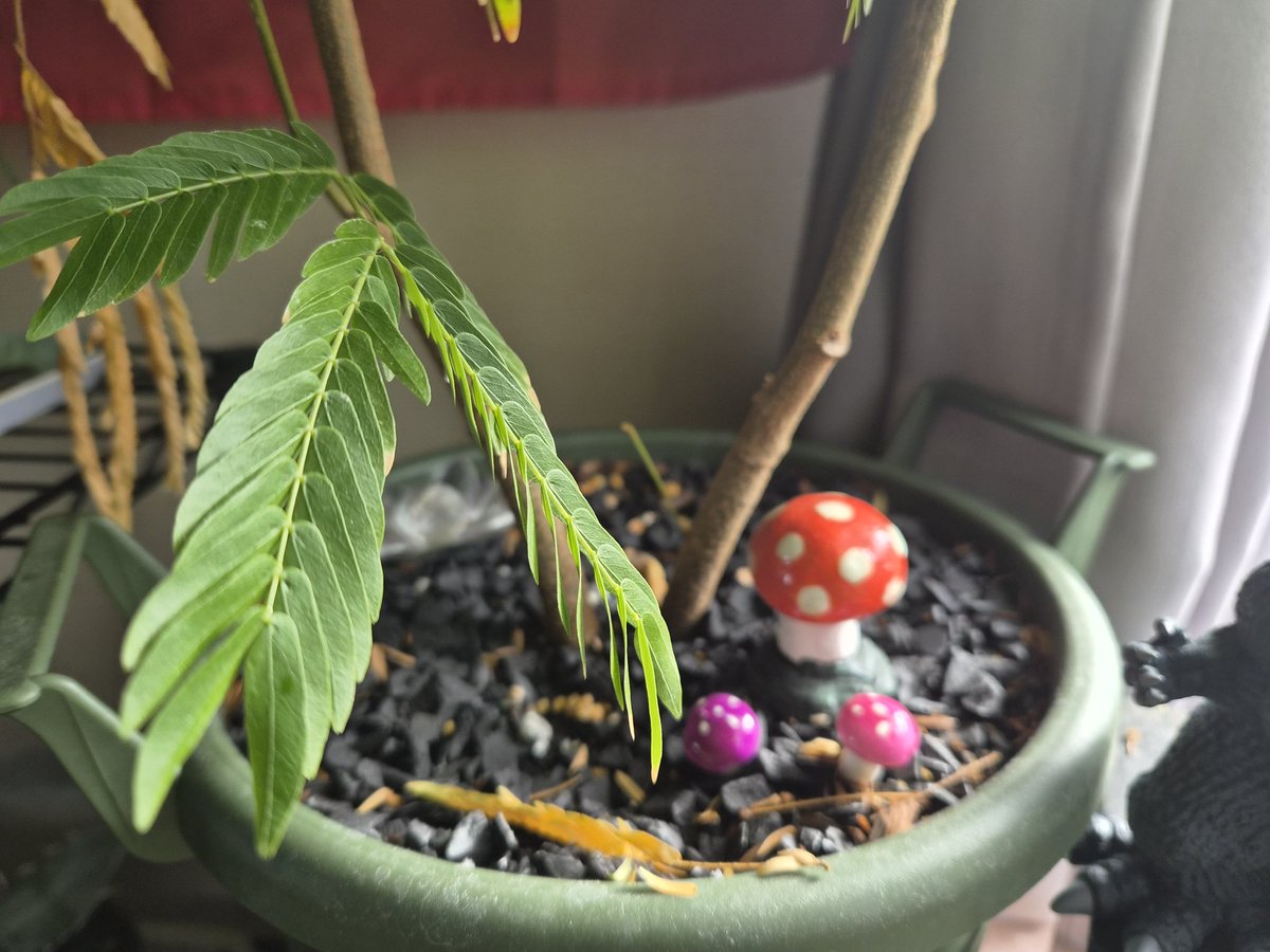 ゴンちゃん様❤️リクエスト 2点 おまとめ★エンビロン★ありがとうございます♡ ヒロトラ プレイアブルキャラNEWS】 □Mr.コンプレス(CV：#最上嗣生