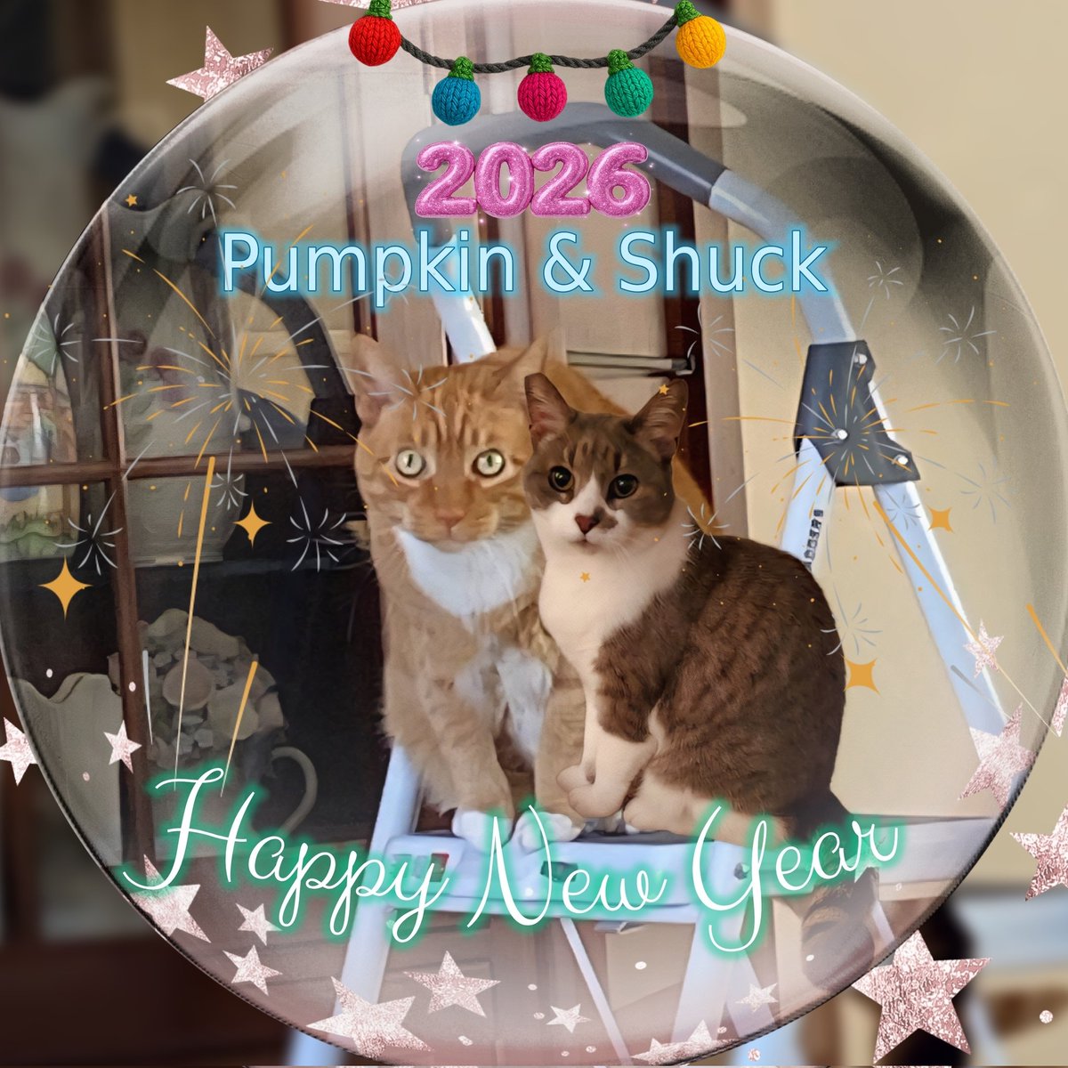 <a href="/cathiebun/">Colonel Pumpkin da Mookin, RIP all mine fwends 🌈.</a> <a href="/TasteyCat/">Linx💫🌈</a> 
Hemlooo dear Fiance Pumpkin &amp; Bestie Linxie,  
L👀K what da Mama did fur me!! Her put my 2nd Linx Peets Art on mine Christmas pwezzie fwom mew❣️It's vantastic! I wuv it dere!
💕🌷😻🐾🌷💕
Happy New Year 2026! May it bwing mew Good Health &amp; Pawsome Treatos😹