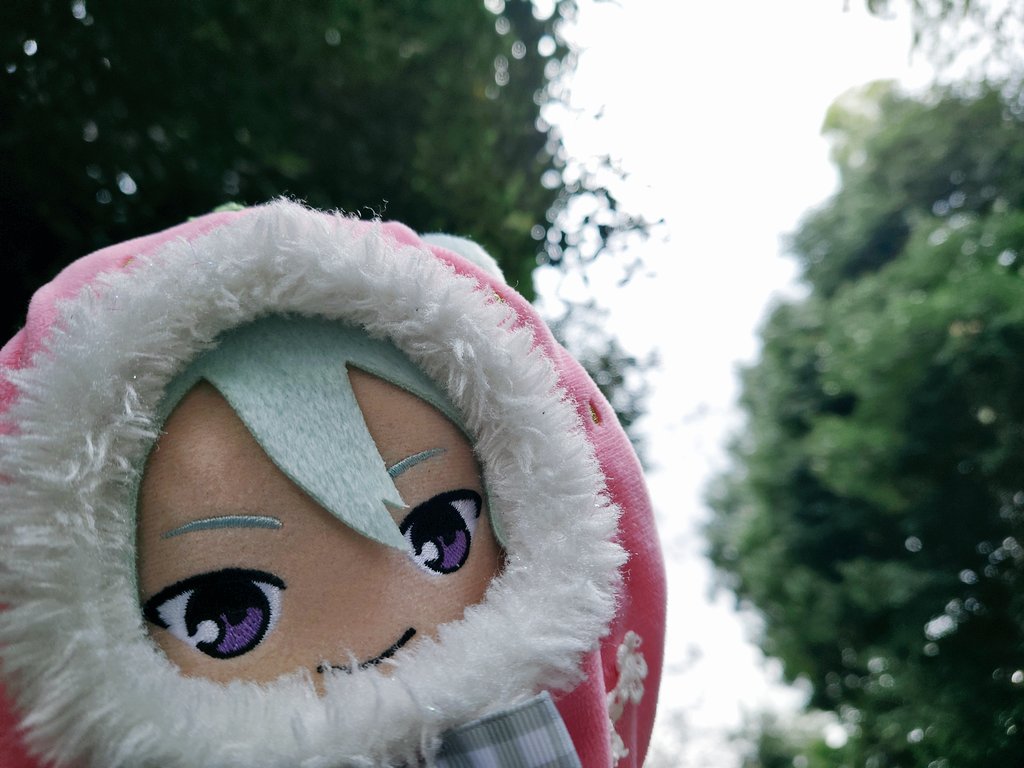 わたぬぬぬ tweet media