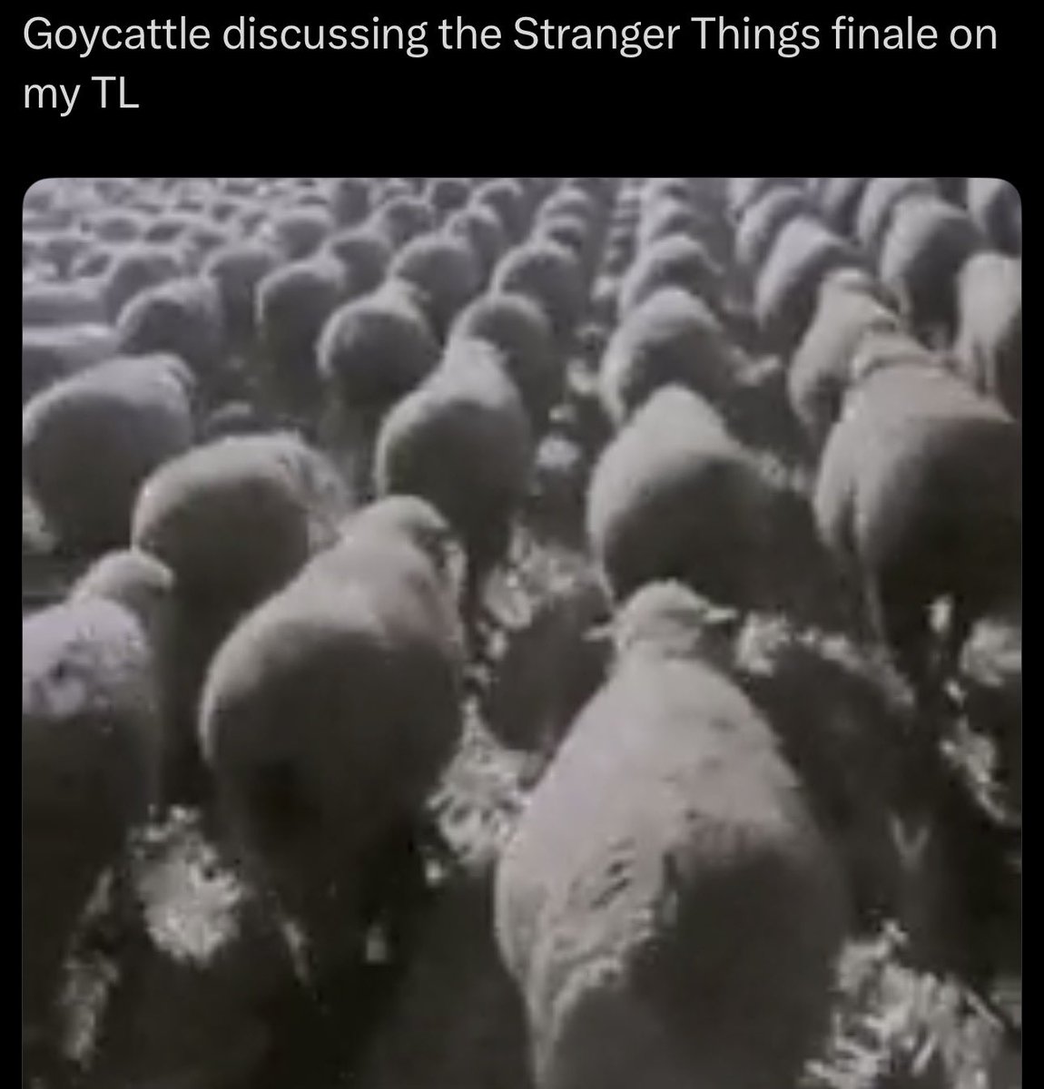 LeMilkman's tweet image. 