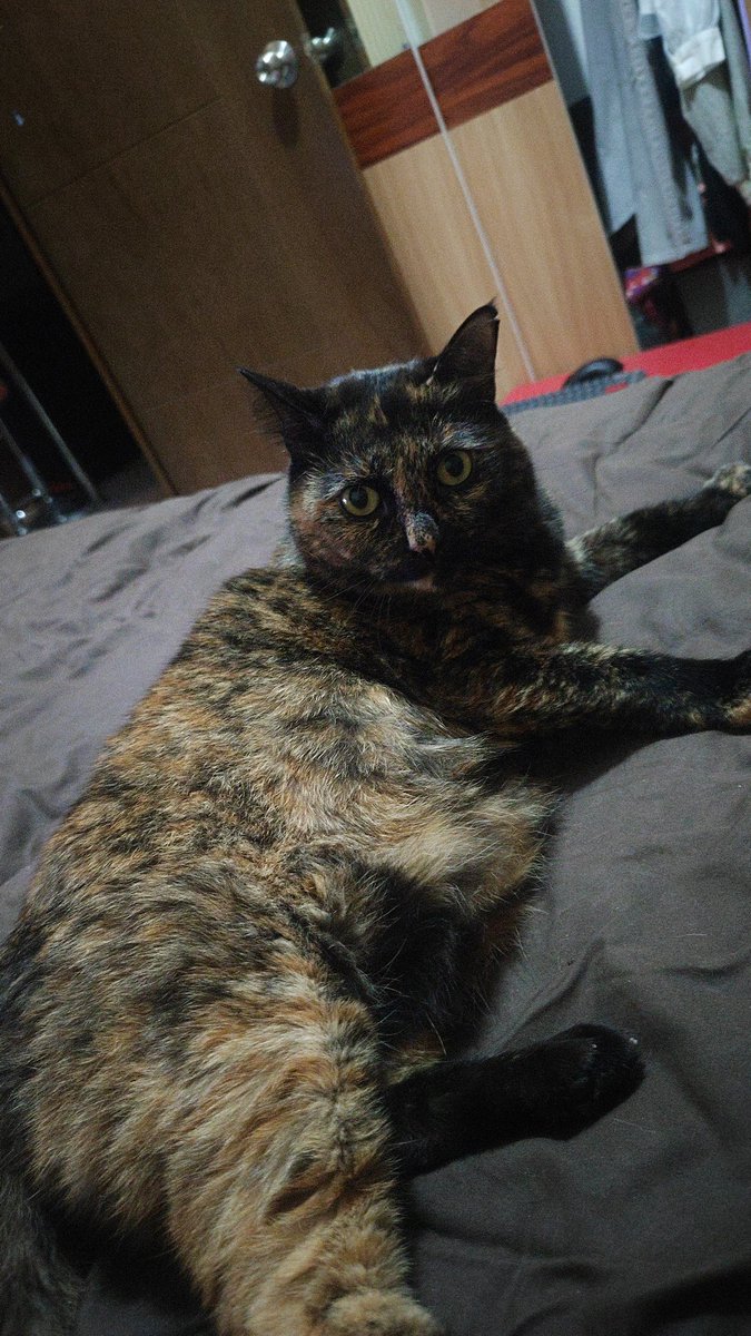 Semoga 2026 kita semua semakin makmur dan berjaya!!