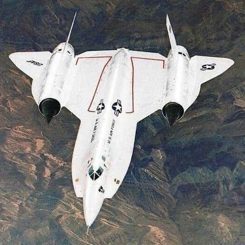Habubrats SR-71 tweet media