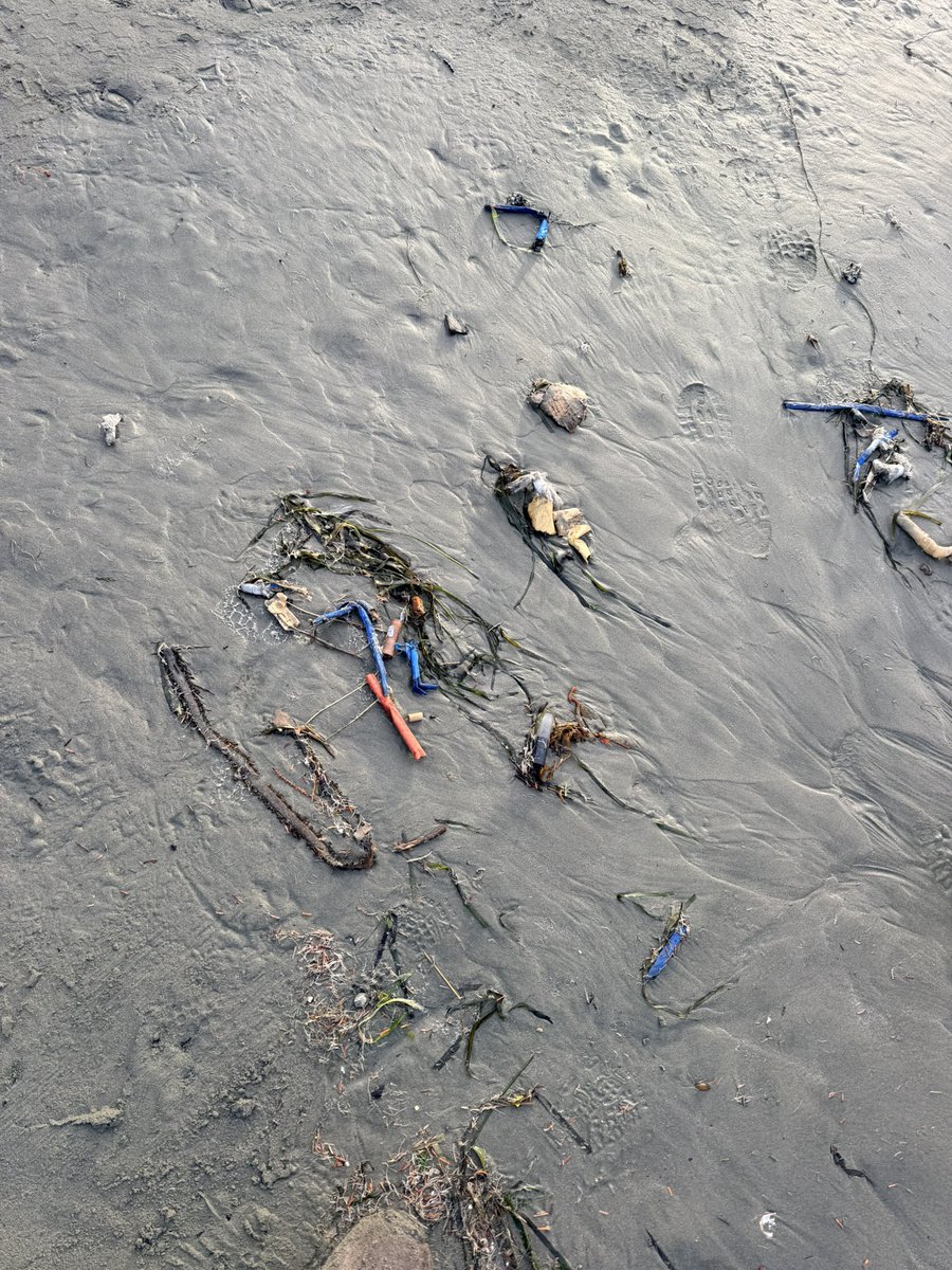 vhmillsy tweet media