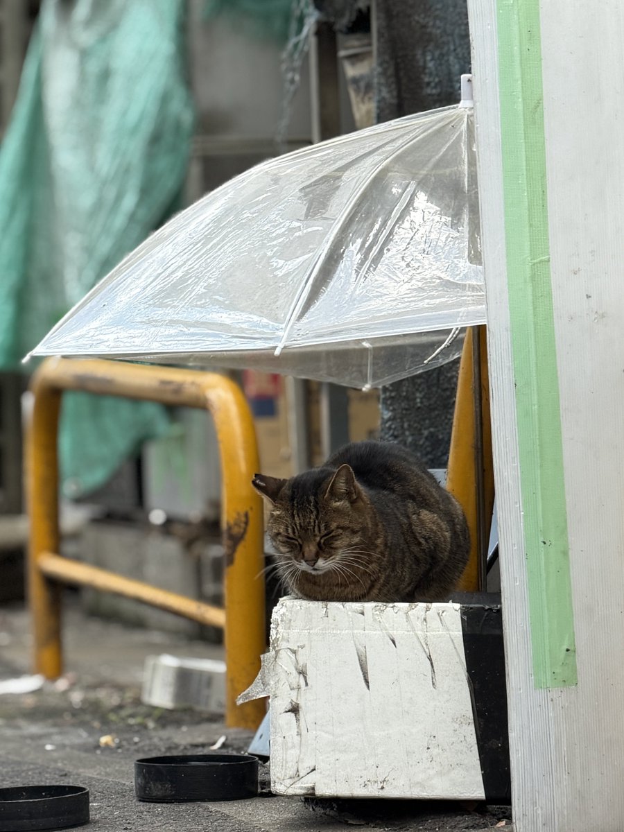 ろっち (@kumax_r) / Posts / X